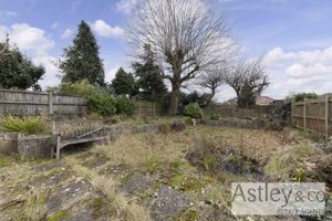garden- click for photo gallery